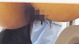 バレたら脱出不能 命がけ潜伏洗面所！ Vol.10　可愛系ギャルはケツ毛多めで生理中でございますｗ