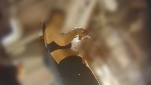 幻 プール編 Vol.057プルンっと生のお尻がドアップに興奮フルぼっ起100％！