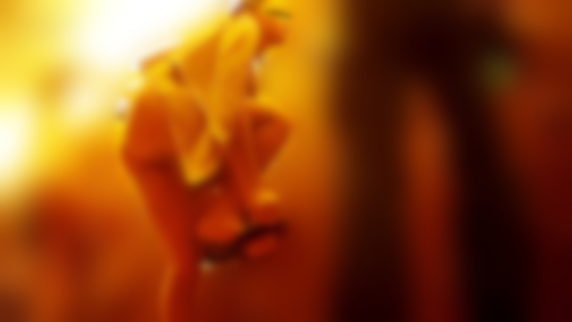 神降臨 風呂編 プレミアム 限定盤5萌えかわ女神降臨☆