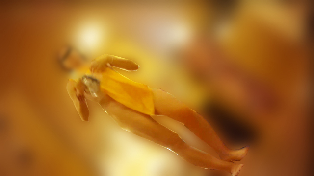 神降臨 風呂編 プレミアム 限定盤21大胆な大股開きでマンチラGET！