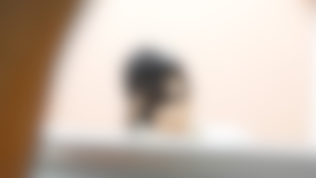 令和 美しい日本の未来 Vol.035　妙にエロいガニ股に即抜き注意！