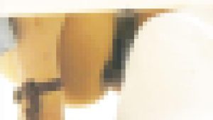 バレたら脱出不能 命がけ潜伏洗面所！ Vol.51 お嬢様チック・硬度並・推定80ｇ