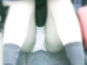 タートルさんの無警戒な人々 Vol.09