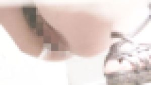 至高下半身盗撮 -PREMIUM- Vol.01