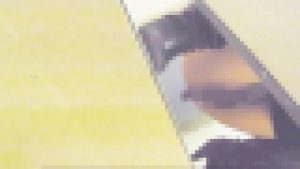 神降臨!史上最強の潜入かわや! Vol.18