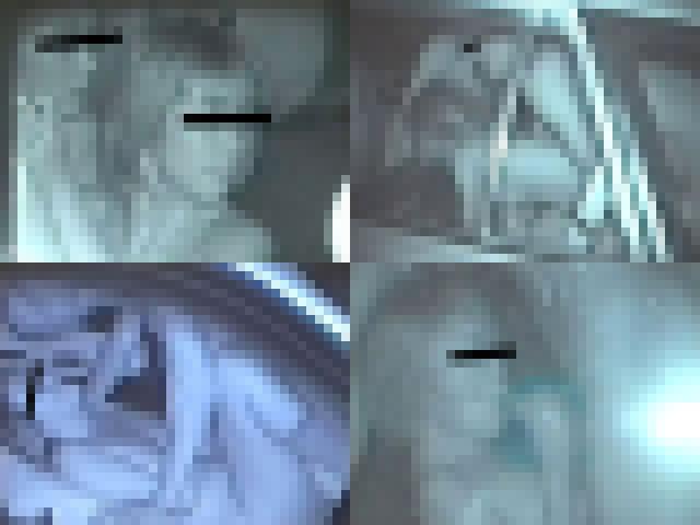 その車、ちゅうしゃ中につき Vol.1